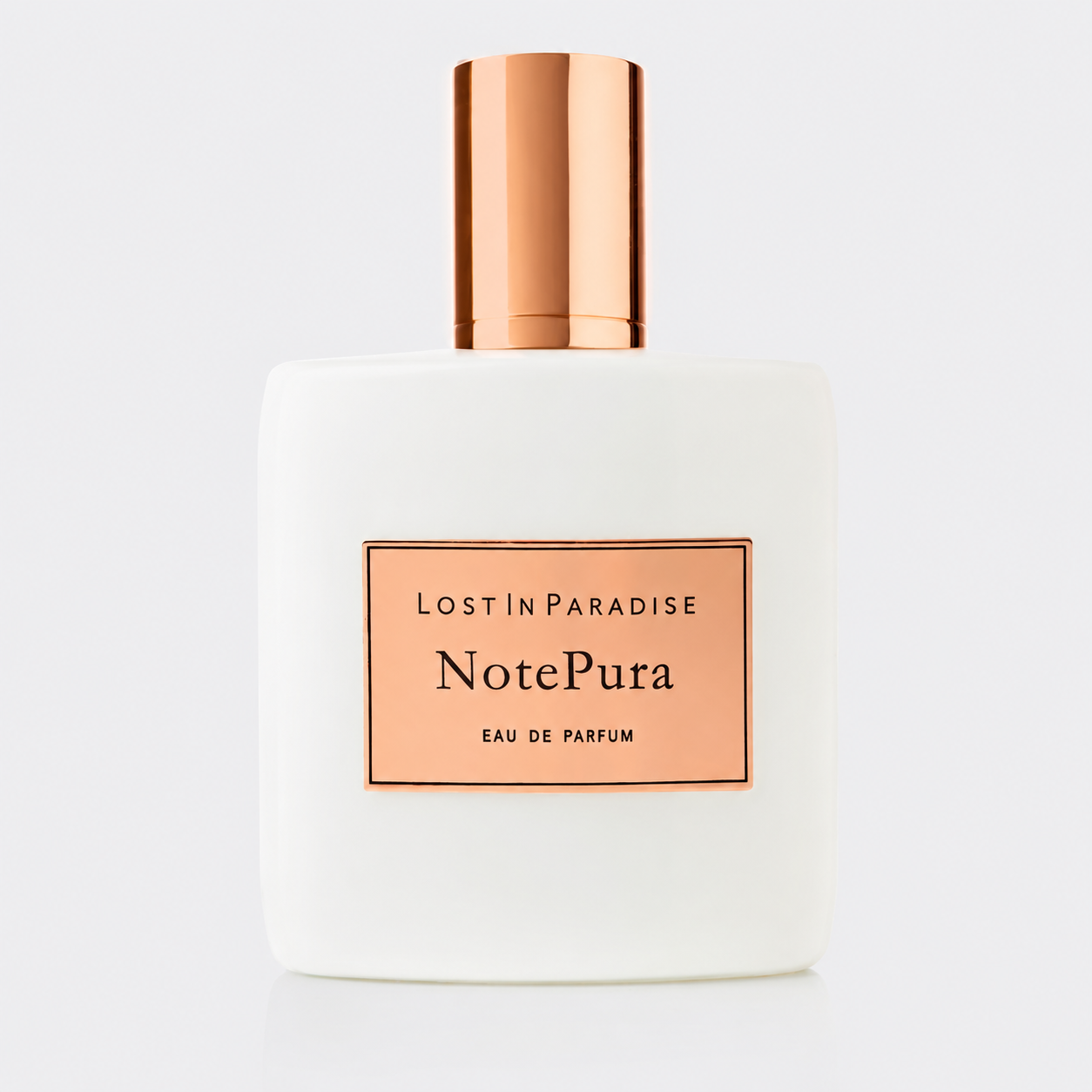 LOST IN PARADISE product image